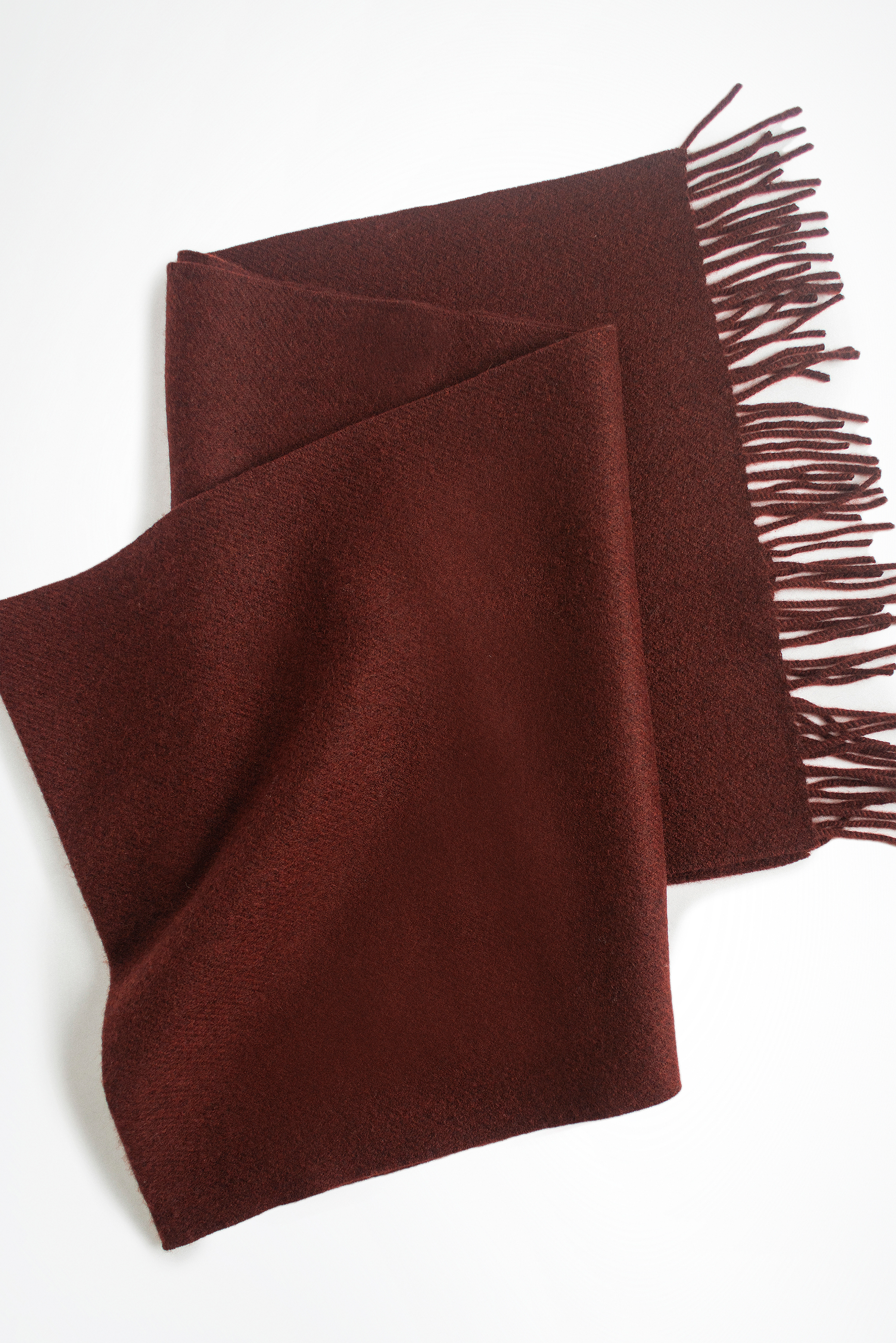 Tonot Plush Burgundy Cashmere Scarf